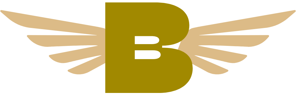 Bullion Jets Ltd